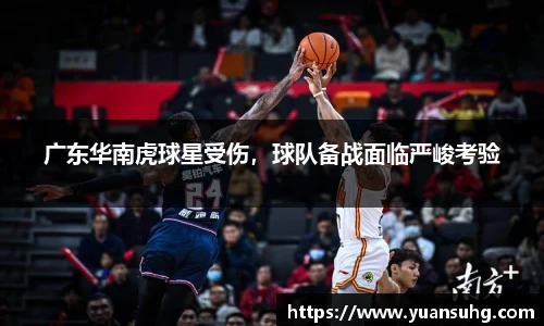 米乐·M6