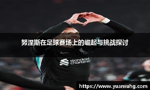 努涅斯在足球赛场上的崛起与挑战探讨