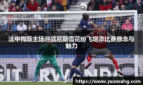 米乐·M6官网